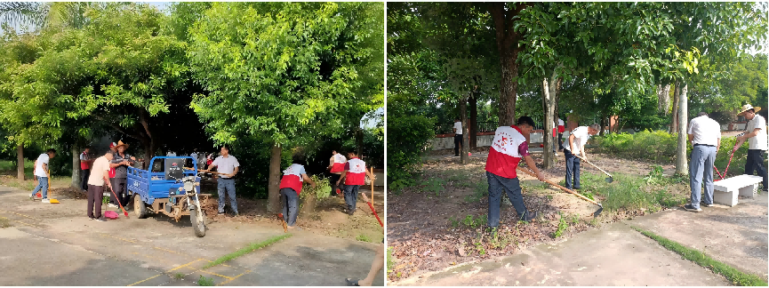 揭陽(yáng)農(nóng)墾合力推進(jìn)基孔肯雅熱防控工作